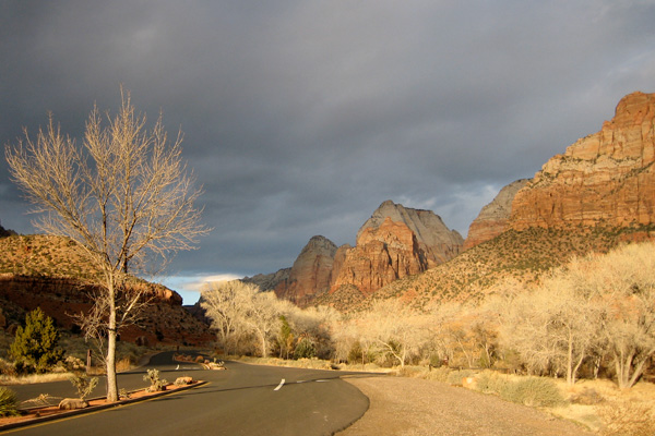 Zion National Park